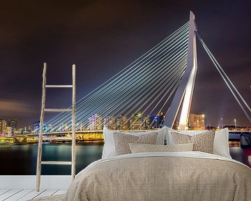 Erasmus Bridge by Michael van der Burg