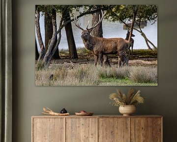 Rehe zwischen den Bäumen von Paul Veen