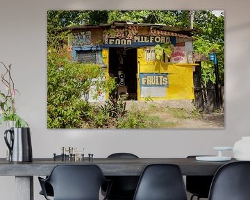 Kleurrijke werkplaats op Guadeloupe van Bert Schuthof
