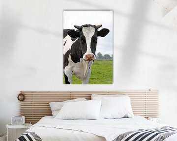Cow von Menno Schaefer