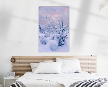 Paysage hivernal avec forêt à Äkäslompolo, Finlande