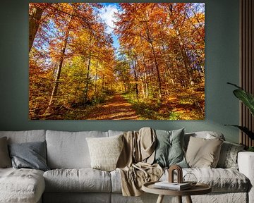 golden autumn by Jürgen Haug