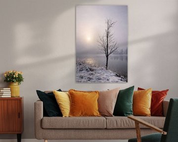De eenzame boom aan het Kochelmeer in een mystieke mistige sfeer van Christina Bauer Photos