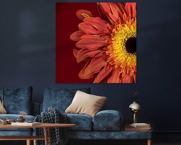 Quadratisch mit warmen, strahlenden Farben: Natürliche Wärme als Wanddekoration von Marjolijn van den Berg