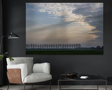 Bomen in de polder van Paul Veen