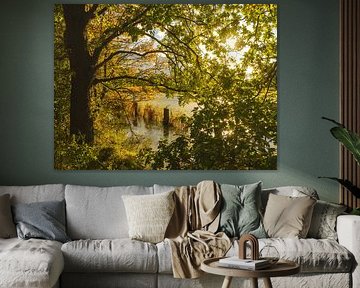 Abendsonne über der Weide