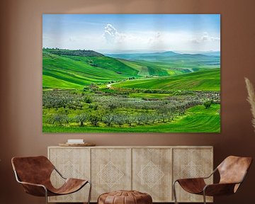 Rolling hills countryside near Poggiorsini, Puglia by Stefano Orazzini