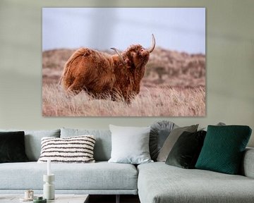 Highland Cow by Menno Schaefer