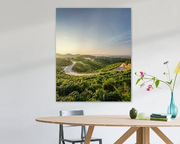 Vignobles et route au lever du soleil, paysage dans les collines du Prosecco sur Stefano Orazzini