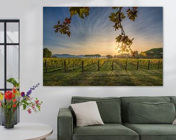 Gouden herfstzonsopgang boven de wijngaarden van Bolgheri van Stefano Orazzini