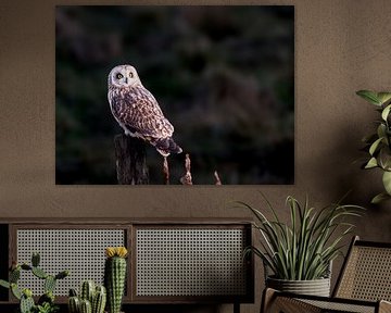 The moment by Vogelvrij fotografie