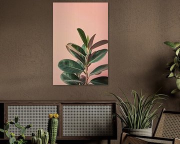 Ficus Elastica in zartem Rosa Licht von Lauren Wilde