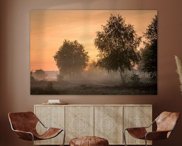 Awakening in the moor: pastel-coloured silence over the heath