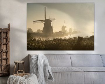 L'aube aux moulins de Kinderdijk