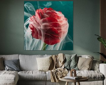 Anmutiger weißer Rauch umhüllt die rote Blume von Marjolijn van den Berg