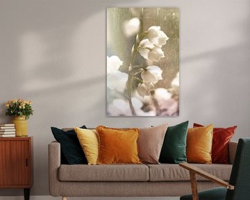 souvenir von fantasina