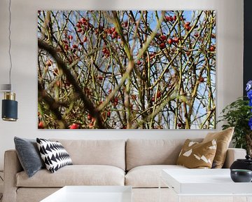 besjes in de stille winter von jessica beek