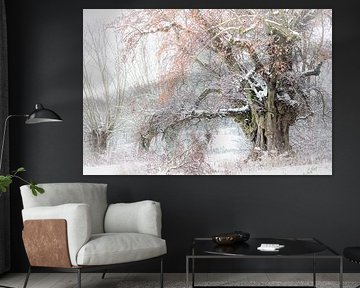 Winterbetovering bij de oude Schäferlinde van Jürgen Schmittdiel Photography