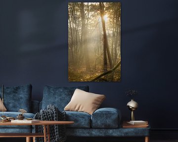Sonnenlicht zwischen Bäumen von Miranda Geerts Art