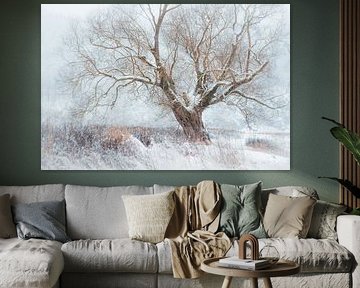 Winter Fine Art aan de Weide in Vöhl / Edersee