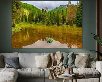 Lago bai di Dones in the Dolomites during springtime by Sjoerd van der Wal Photography