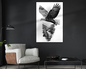 Aigle à tête blanche planant au-dessus d'un canyon, dessin au trait