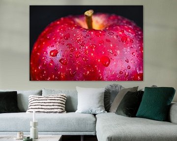 Freshly Washed van ErwinY