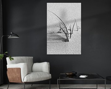 Minimalisme in zwart wit van eric van der eijk