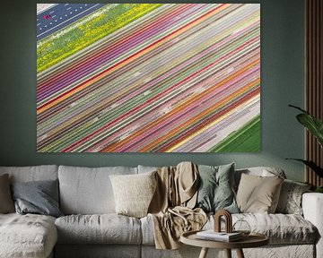 Tulip fields in the Flevopolder by Peter Haastrecht, van