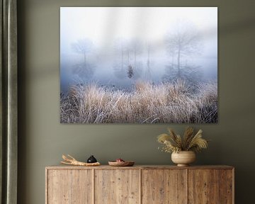 Trees in the mist with reflection in the water by Erwin Pilon