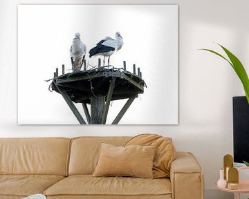 A pair of storks for the happy expectation by Michel Seelen