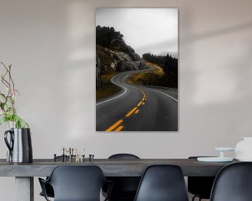 Slingerende weg in de Noorse bergen van Koen Lipman