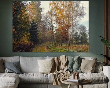 Veldweg met herfstbomen in de buurt van de Schwackenreuter meren bij Mühlingen van BlattArt - Christine Horn