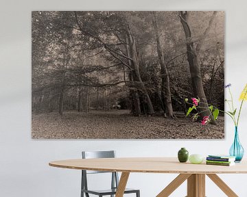 Muiderberg Echobos von Ed van Harmelen