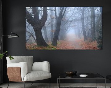 Silhouettes by Sabrina de Vries