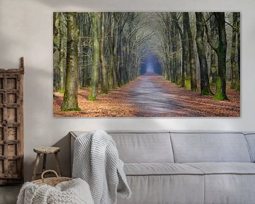 Tunnel vision by Sabrina de Vries