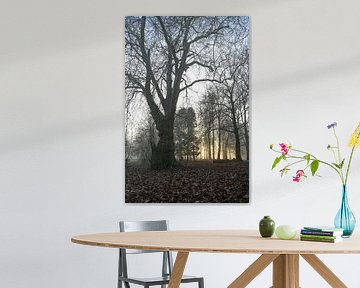 Hemmensebos Teil 56 von Tania Perneel