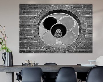 Guardian of the barn – tawny owl in black and white by Patrick van Bakkum
