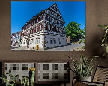 Möchshaus Kirchheim unter Teck – Zwabische bouwgeschiedenis in vakwerkhuizen van Jürgen Haug