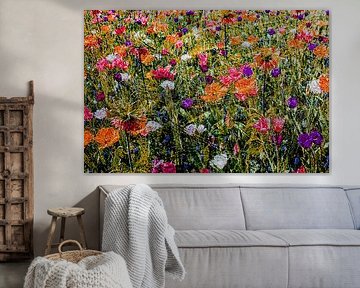 Verschiedene bunte Blumen