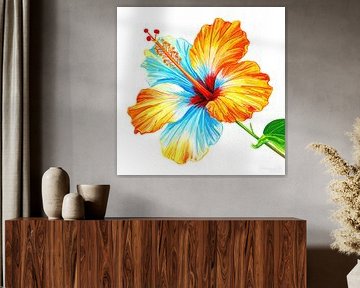 Hibiscus flower from Series A 01C