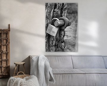 Onwrikbare beveiliging van Dyan Gemser