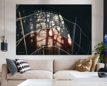 Fragiel licht van Dyan Gemser