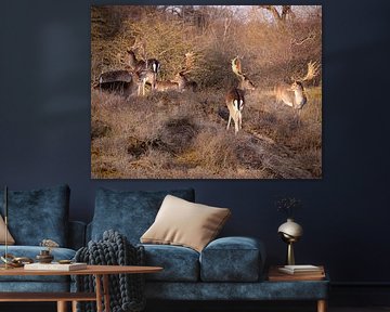 Damherten in het zonnetje van Willemijn Wolthaus