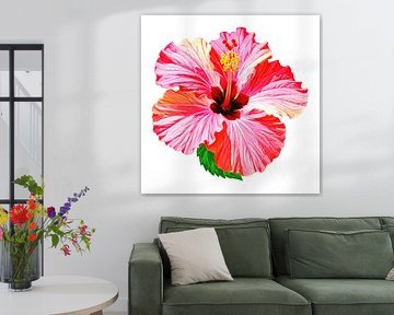 Schilderachtige hibiscusbloem uit serie A 02B van AidasignArt