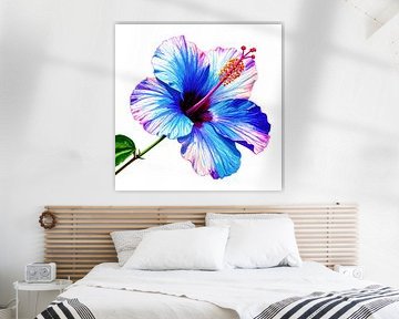 Schilderachtige hibiscusbloem uit serie A 02A van AidasignArt