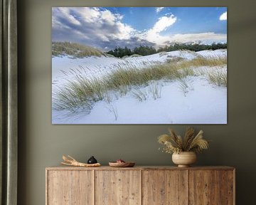 besneeuwde duinen Schoorl van René Groeneveld