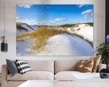 Besneeuwde duiden met helmgras schoorl van René Groeneveld