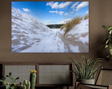 Winterse Schoorlse duinen van René Groeneveld