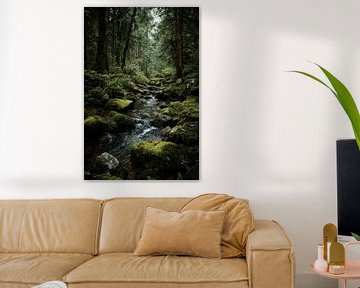 Wo Wasser den Wald trägt von Femea Stille Landschappen